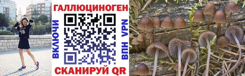 Псилоцибиновые грибы Cubensis  Купить  Архангельск 